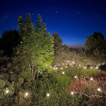 Hotel Glamping San Bart San Vincenzo Zewnętrze zdjęcie