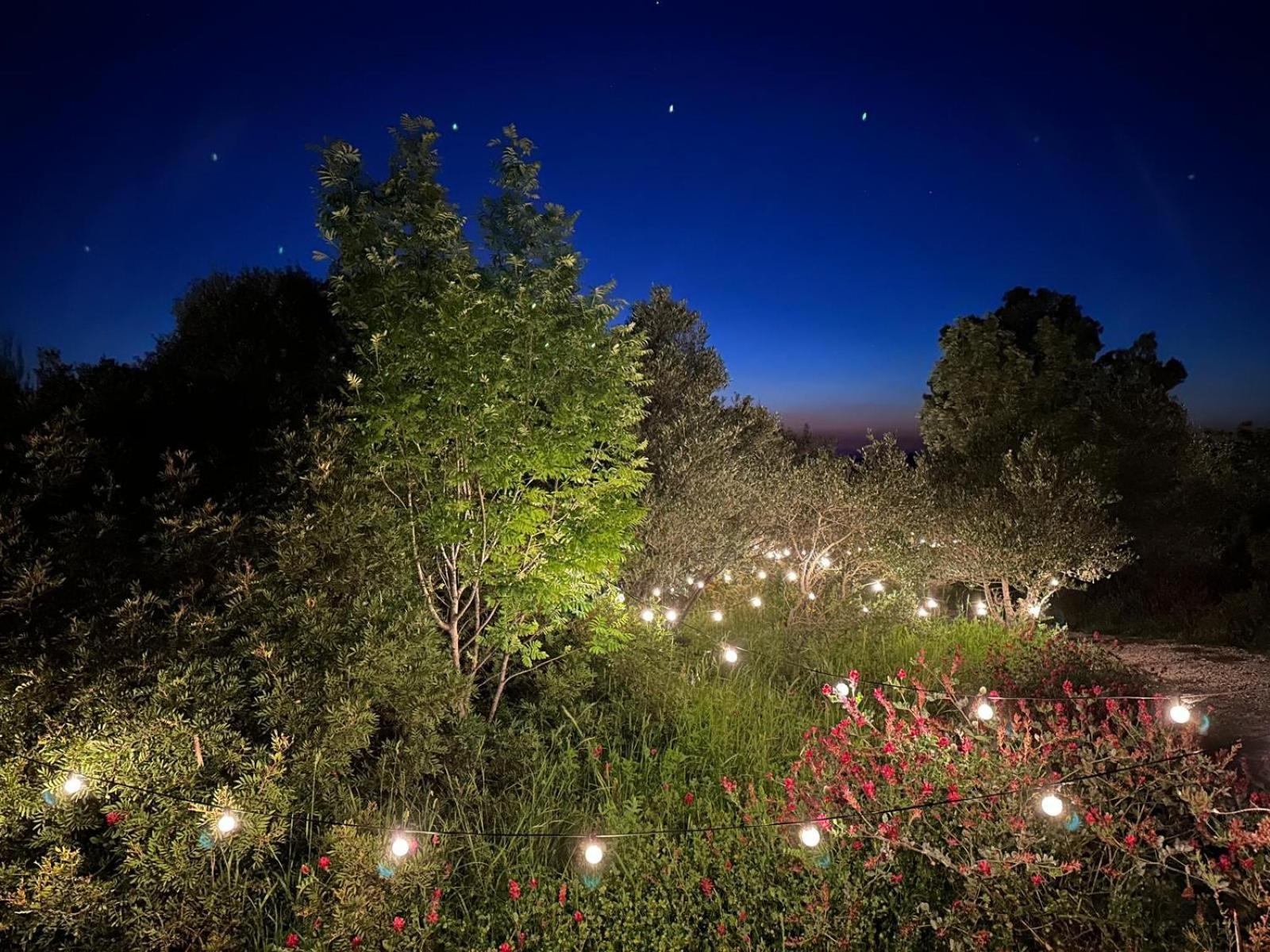 Hotel Glamping San Bart San Vincenzo Zewnętrze zdjęcie