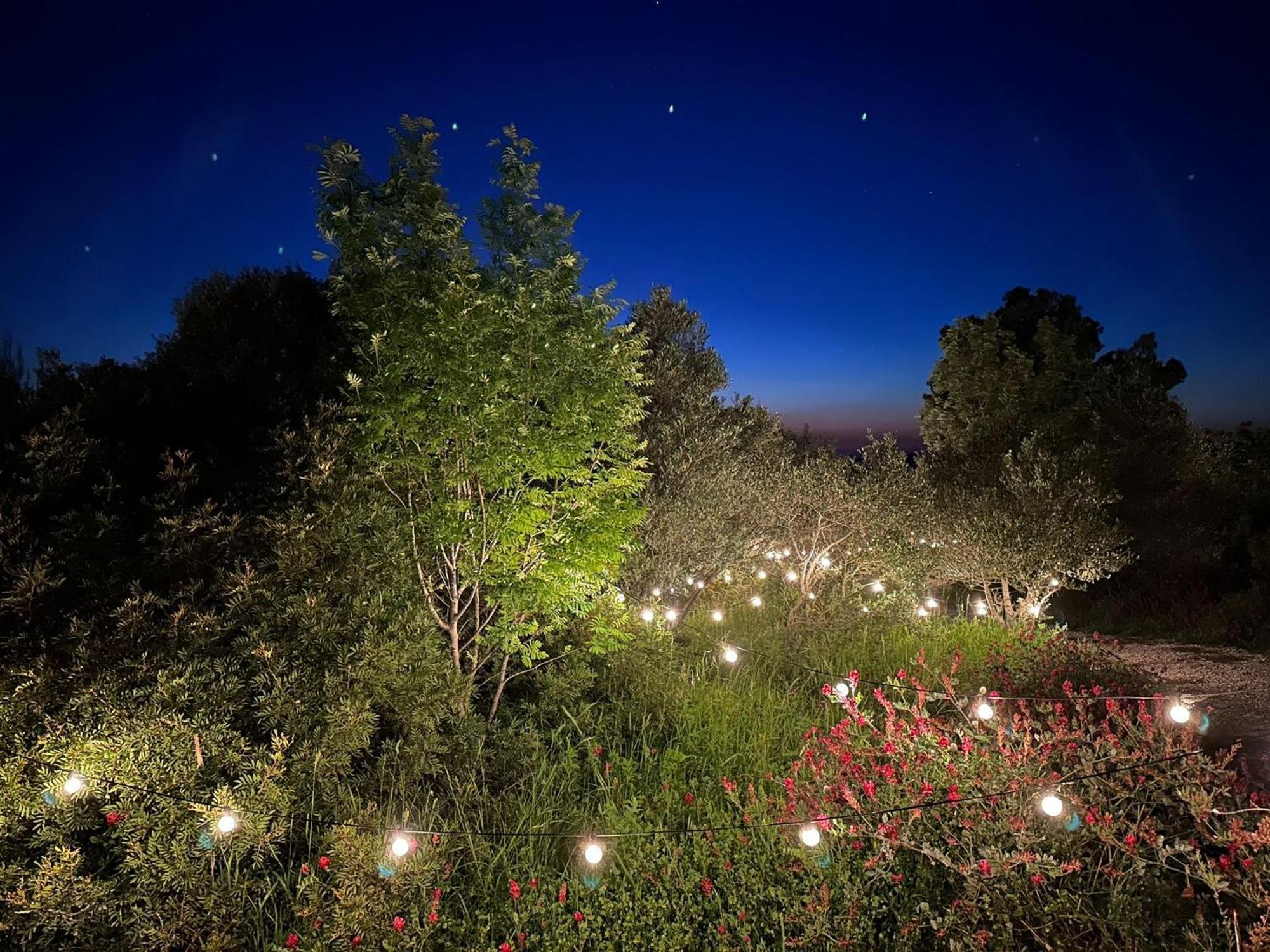 Hotel Glamping San Bart San Vincenzo Zewnętrze zdjęcie